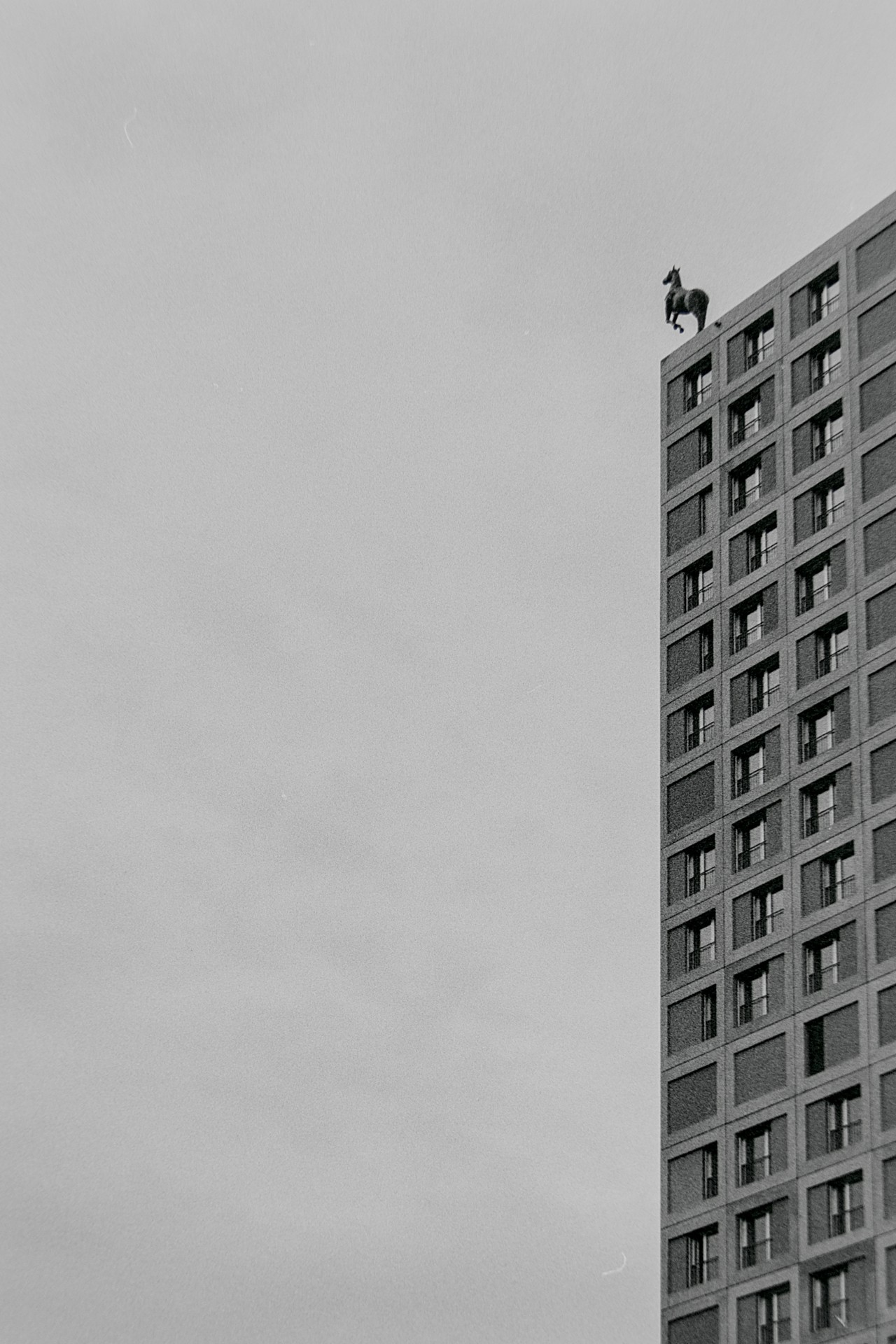 media 221